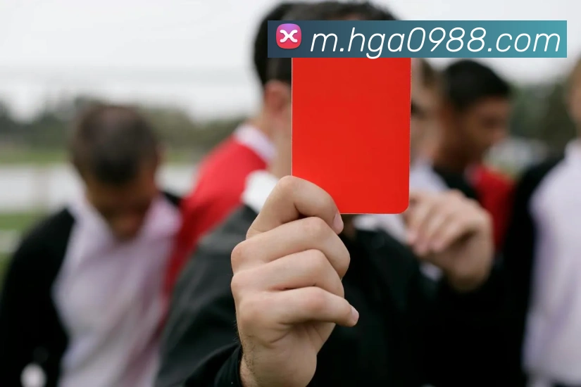 数据分析功能
